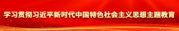 操老骚逼精品学习贯彻习近平新时代中国特色社会主义思想主题教育